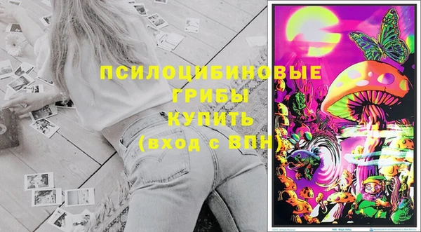spice Абинск