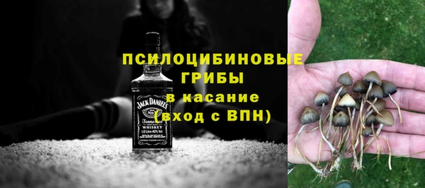 spice Абинск