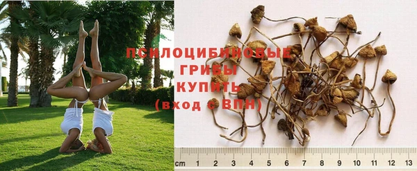 соль ск Абдулино